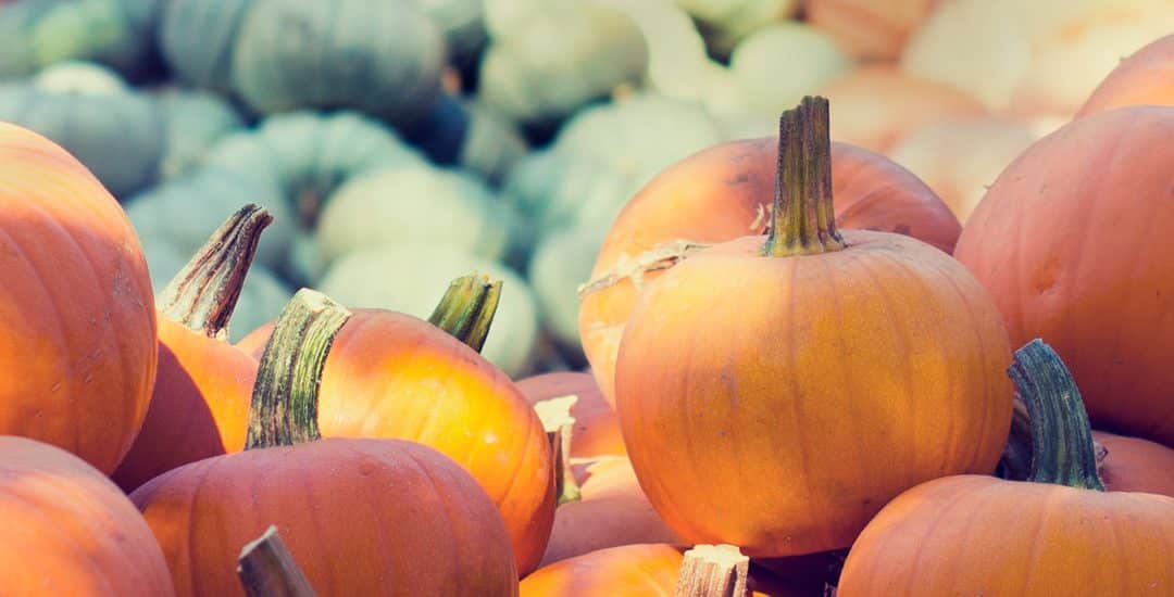 Carve a Pumpkin to Build Occupational Skills