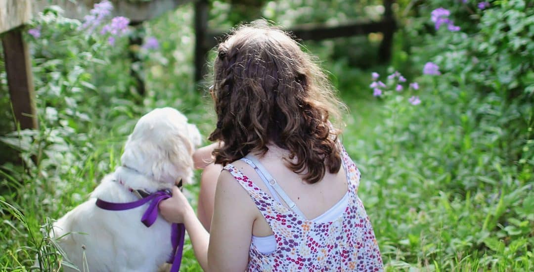 Child Mind Institute Features Willow Rossi, MS, OTR/L, and her facility dog, Tippy