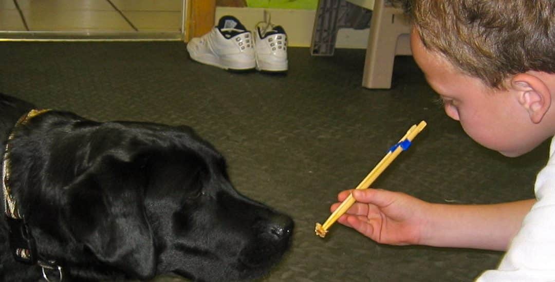 Furry Family Friend Helps with Therapy